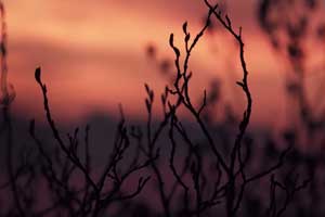 postproduzione audio, il fumaiolo - web - metterstudio