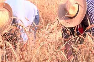 fonico di presa diretta, postproduzione audio, la trazza - cinema